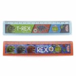 REGLA MUNDO DINO DI042