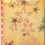 DIARIO INTIMO CHICO 11*15 CM  SY7404