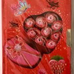 DIARIO INTIMO CHICO 11*15 CM SY7406