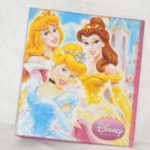 CARP Nº3 PVC 3 ANILLOS PRINCESAS