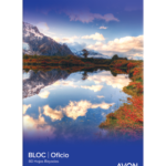 BLOCK AVON OF*80 RAYA 100022