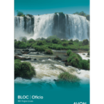 BLOCK AVON OF*80 LISO 100025
