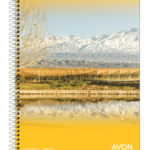 CUADERNO AVON 29.7 RAYADO*84 100782