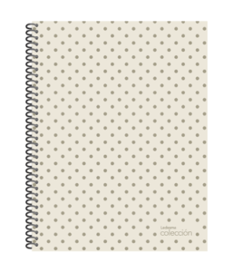 CUADERNO COLECC 29.7*84 RAYA 102677 - Imagen 2