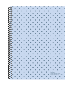 CUADERNO COLECC 29.7*84 RAYA 102677