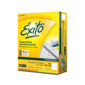 REPUESTO EXITO *480 CUADRO 100912