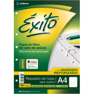 REPUESTO EXITO C/MARGEN *96 A4 CUADRO 100887
