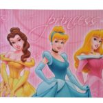 CARPRETA CARTONE Nº5 PRINCESA