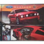 CARPETA PVC Nº5 FORD 6113