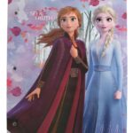 CARPETA CARTONE Nº3 FROZEN