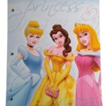 CARPETA CARTONE Nº3 PRINCESA