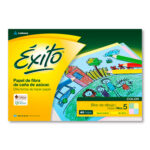 BLOCK DIBUJO N°5 ÉXITO PASTEL  103223