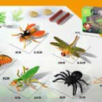 INSECTOS EN CAJA  167081
