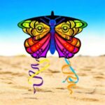 Barrilete Mariposa Popup  EZNY6006