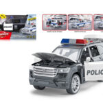 AUTO POLICIA IKAUT0007
